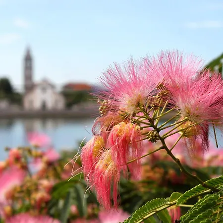 Double 4309a ゲストハウス 3*